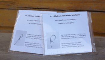 Kielisarjat 11-kielisiin kanteleisiin
